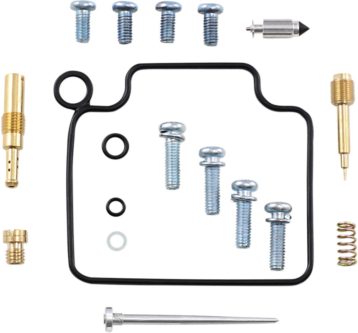 Carburetor Repair Kit