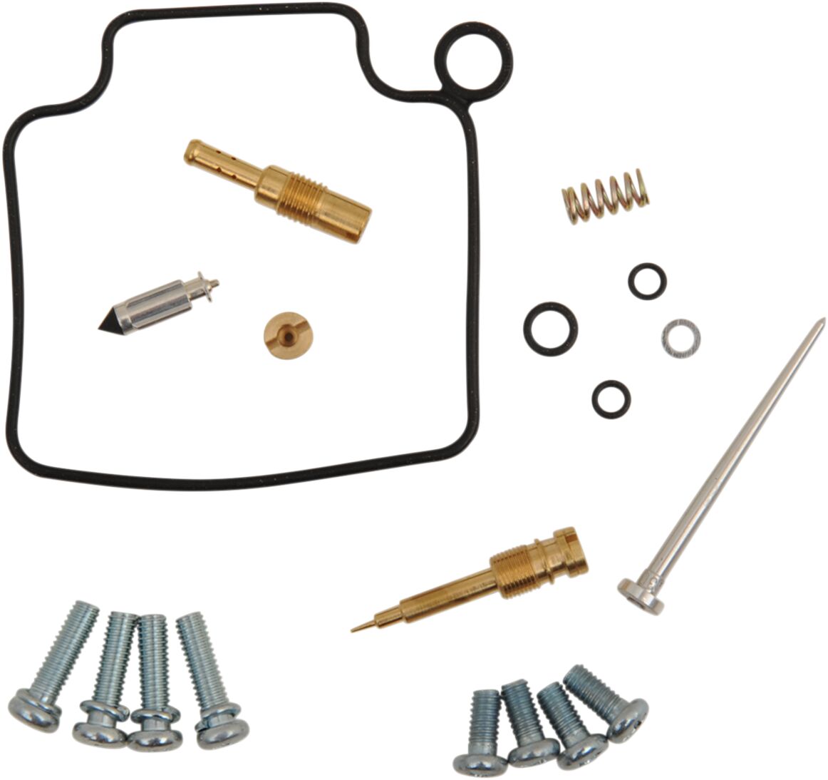 Carburetor Repair Kit