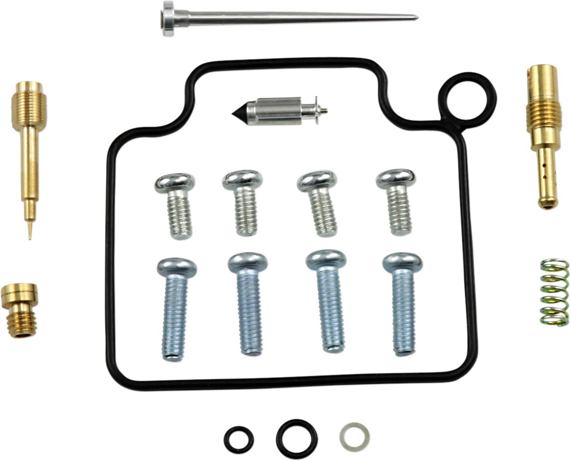 Carburetor Repair Kit
