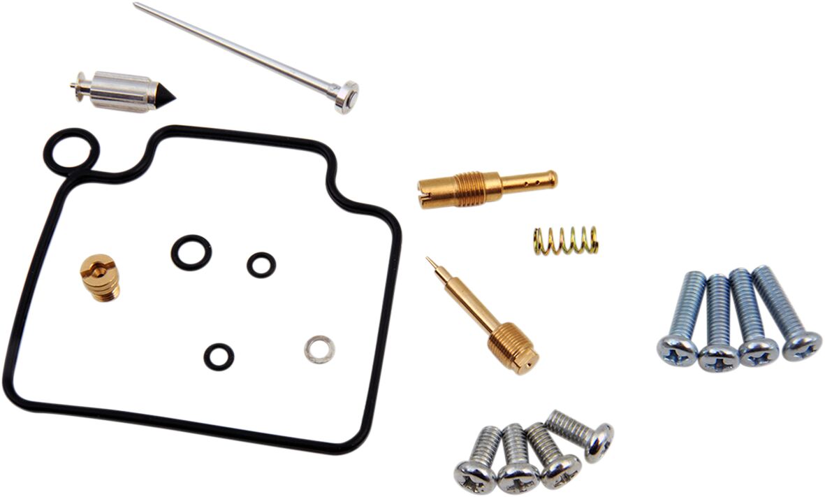 Carburetor Repair Kit