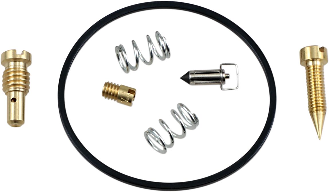 Vergaser-Reparatursatz - Arctic Cat