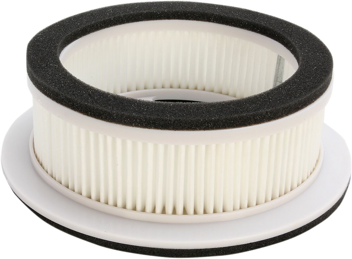 Scooter Air Filter
