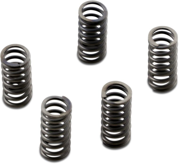 CSK Series Heavy Duty Clutch Spring Kit