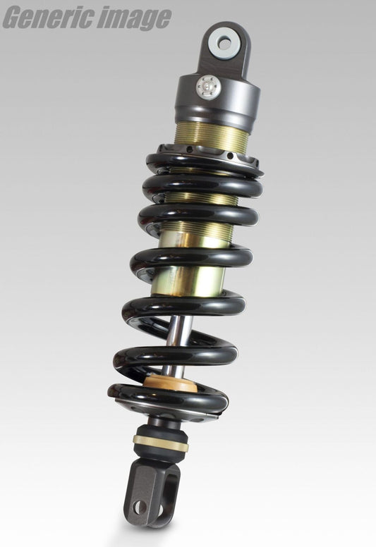 Lowering Spring Rear