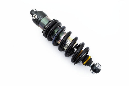 Shocks Rear Twin