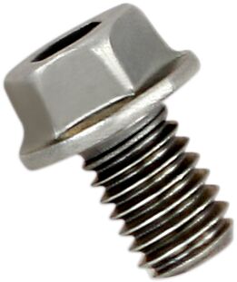 Replacement Exhaust Bolt