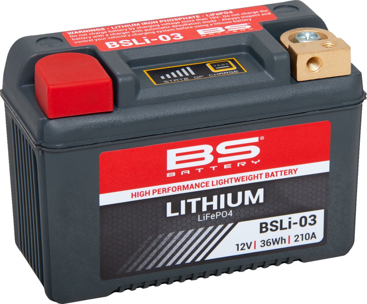 Lithium LiFePO4 Battery