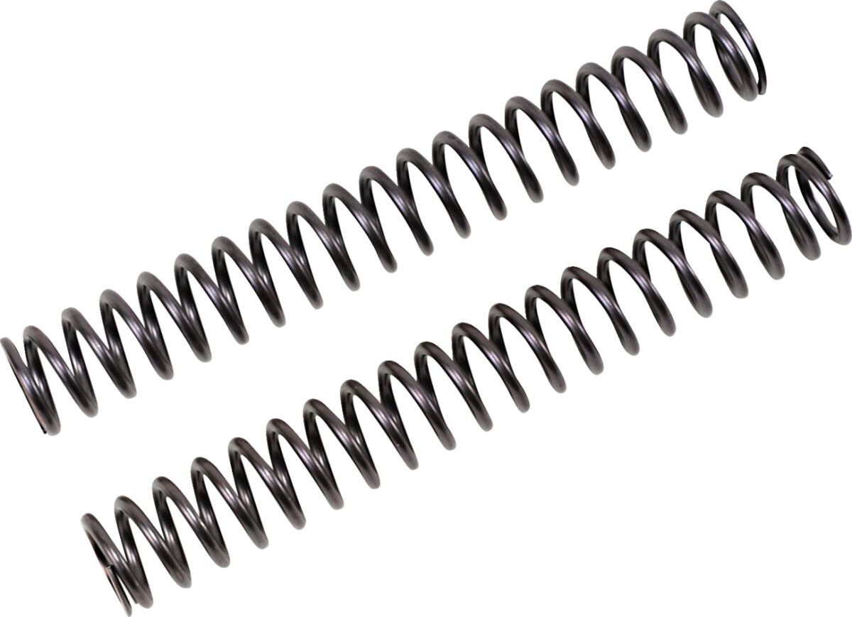 Fork Springs for FGK Cartridge Kit