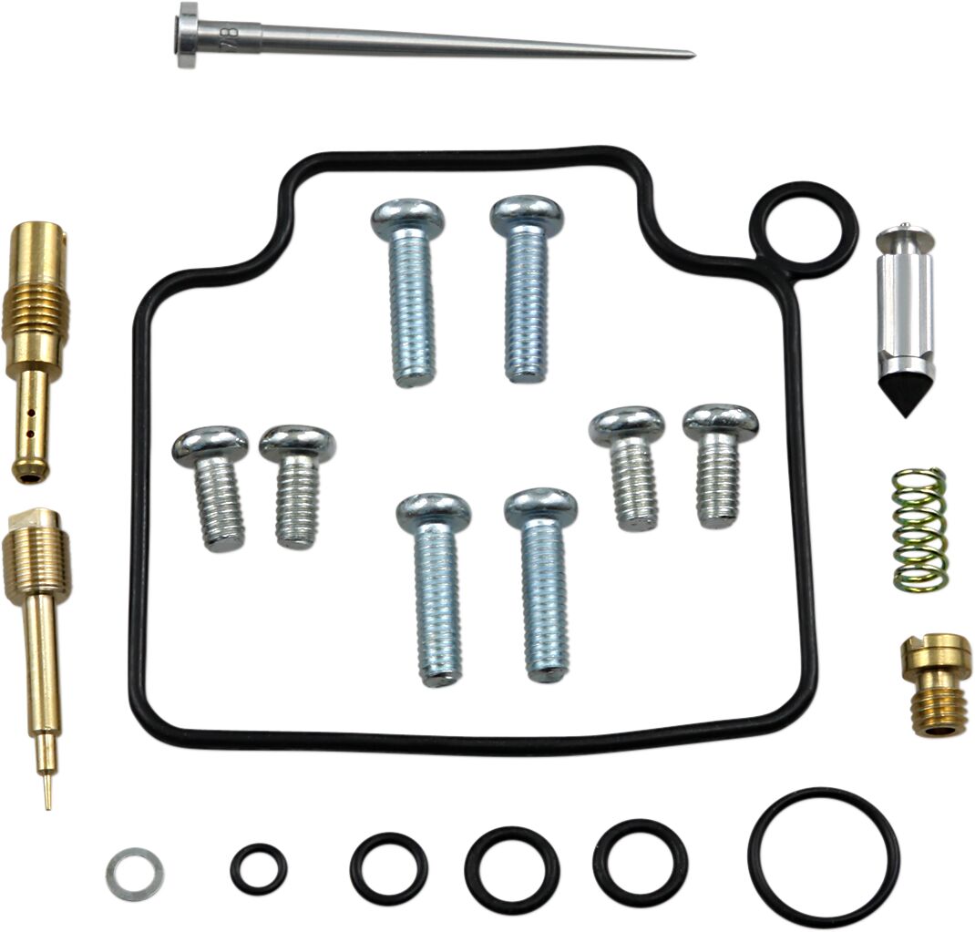 Carburetor Repair Kit