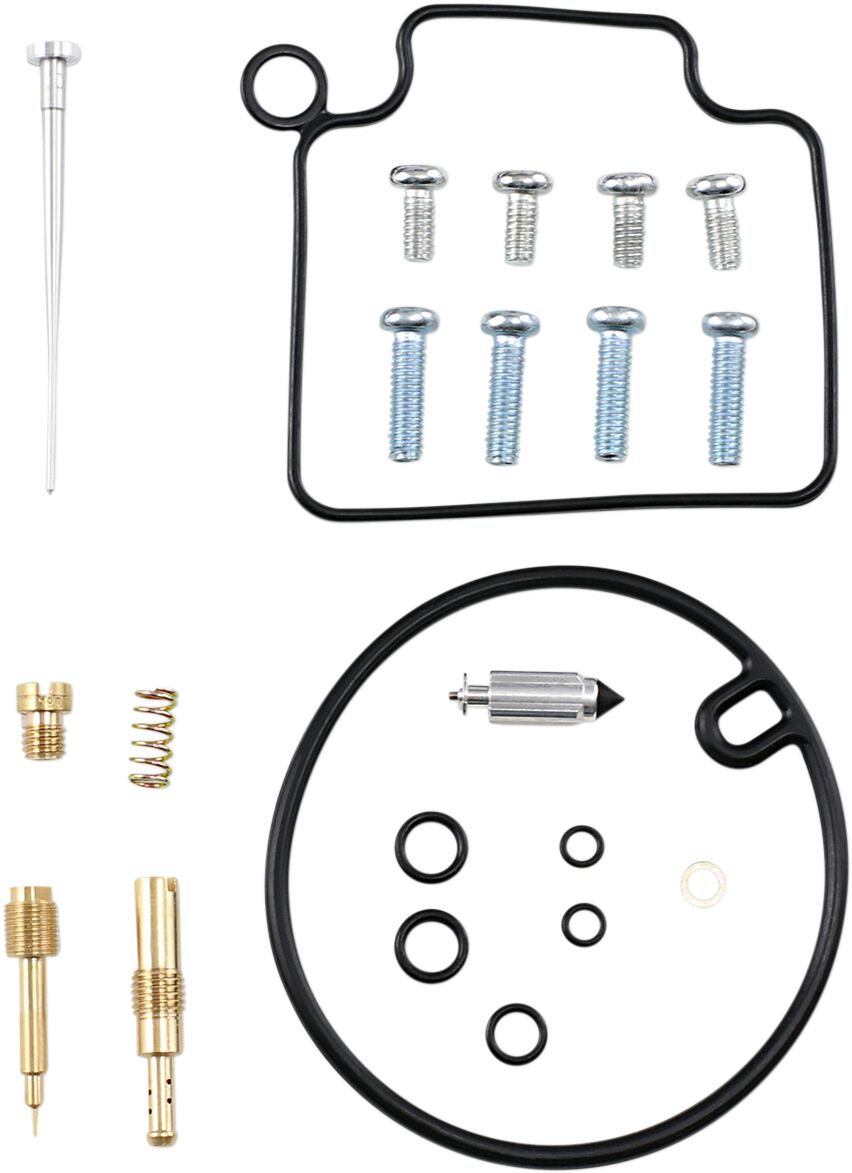 Carburetor Repair Kit