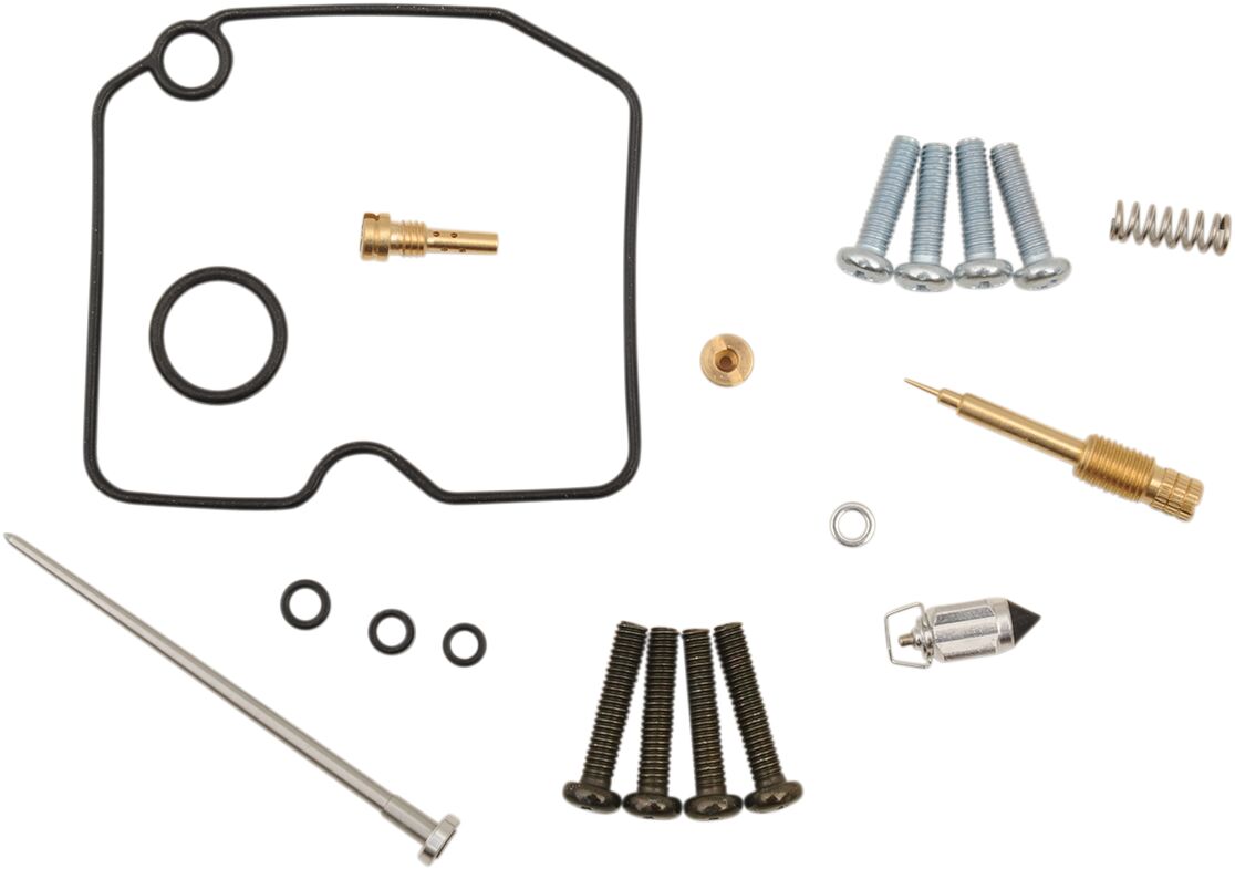Carburetor Repair Kit