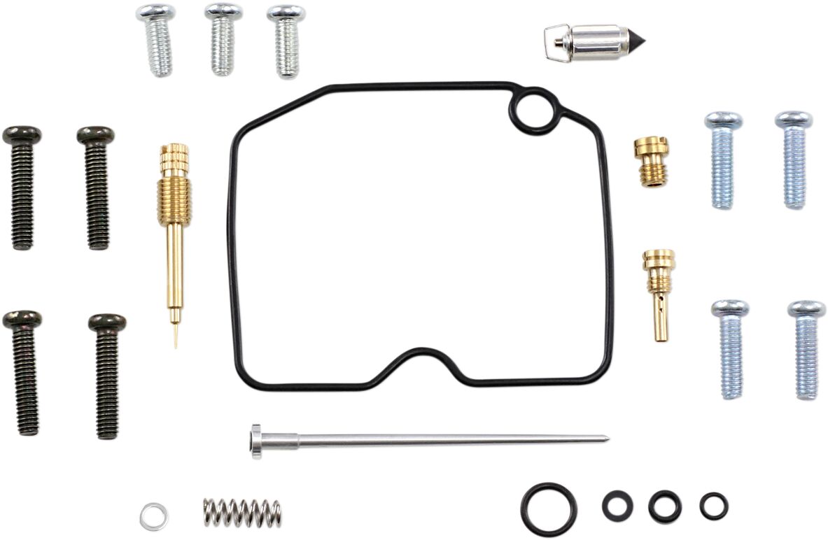 Carburetor Repair Kit