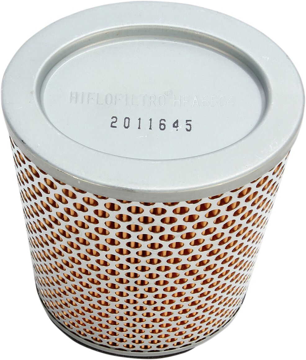 Replacement Air Filter