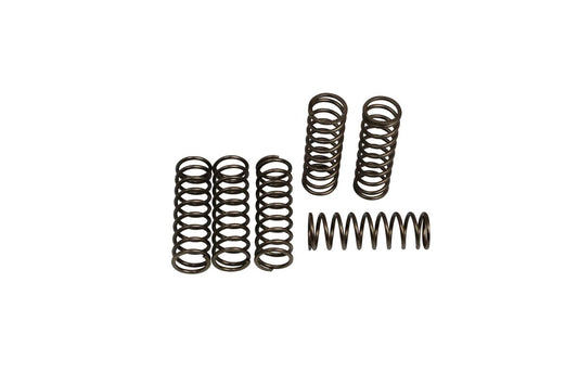 CSK Clutch Spring Set