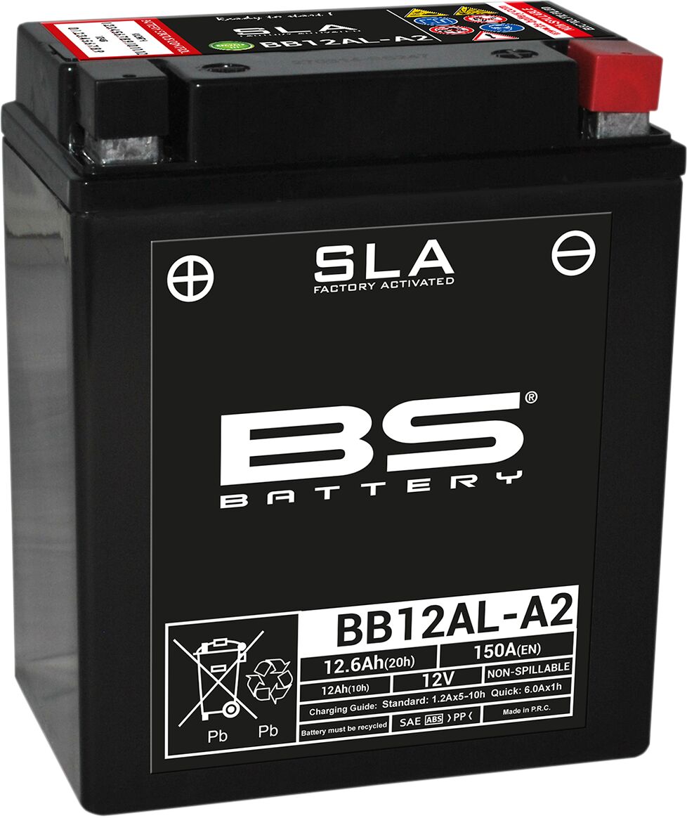 SLA Factory-Activated AGM Maintenance-Free Batteries