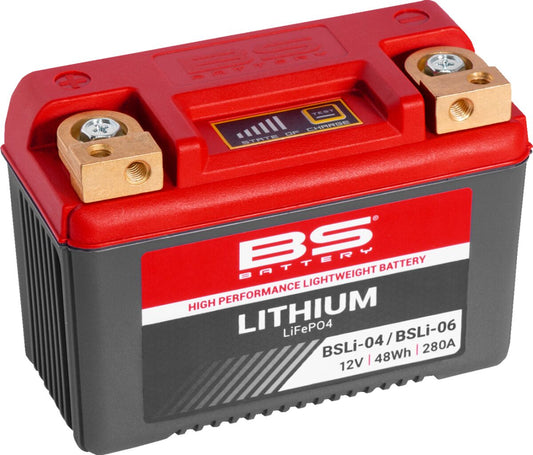 Lithium LiFePO4 Battery