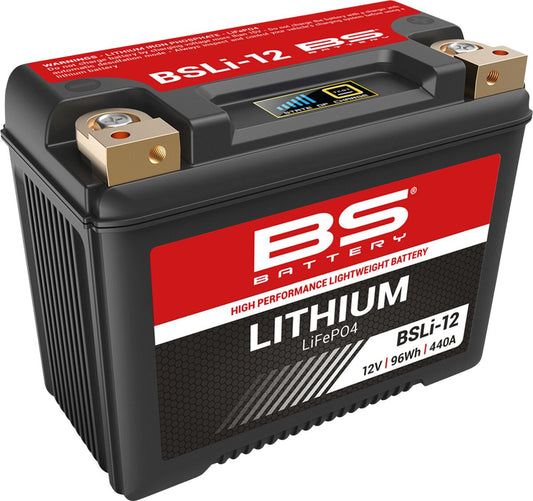 Lithium LiFePO4 Battery