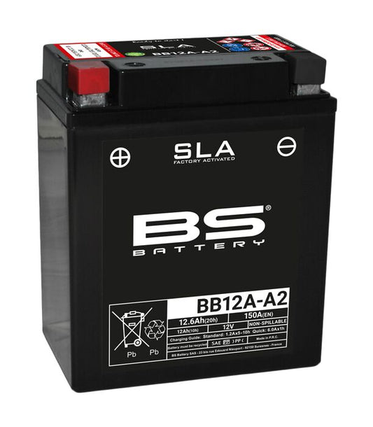 SLA Factory-Activated AGM Maintenance-Free Batteries